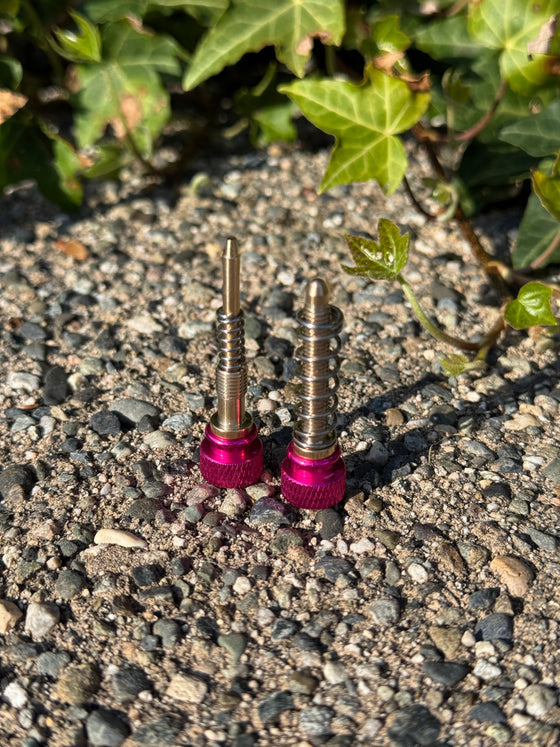 Keihin Carburetor Adjusters (Pair)