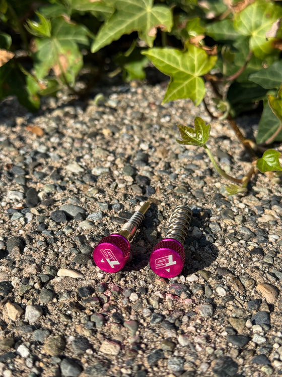 Keihin Carburetor Adjusters (Pair)