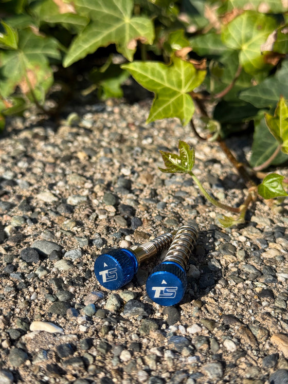 Keihin Carburetor Adjusters (Pair)