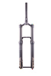 Formula Selva V